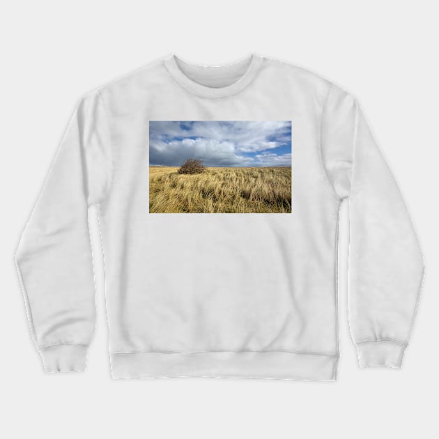 Northumberland Skies Crewneck Sweatshirt by StephenJSmith